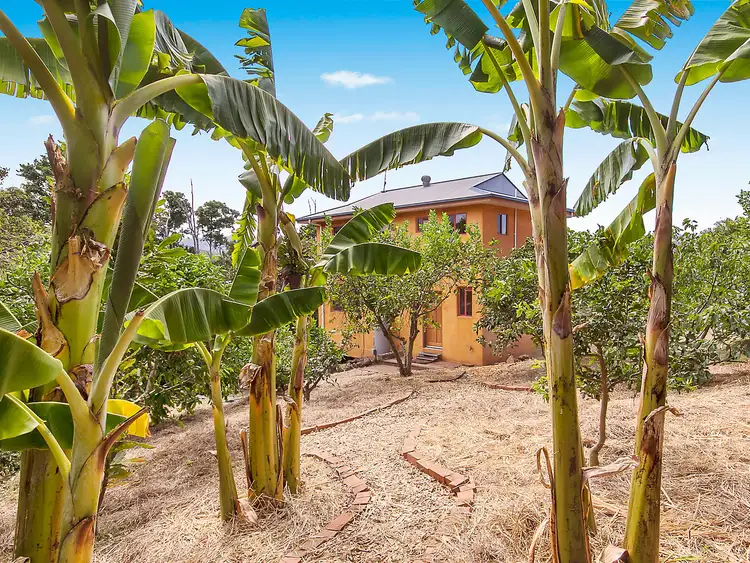 Third view of Homely house listing, 17 Gardenia Court, Mullumbimby NSW 2482