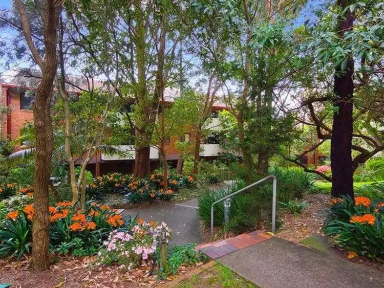 Second view of Homely apartment listing, 31/215 Bridge Road, Glebe NSW 2037