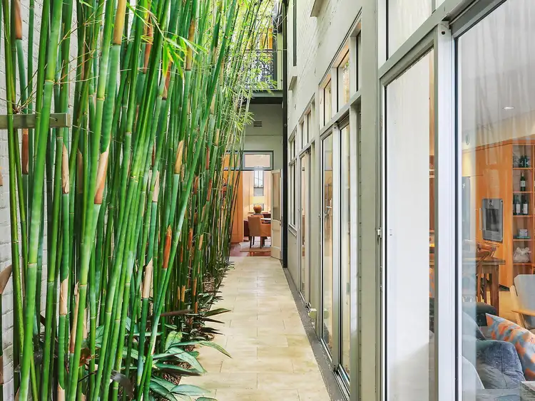 Fifth view of Homely house listing, 4 Queen Street, Woollahra NSW 2025