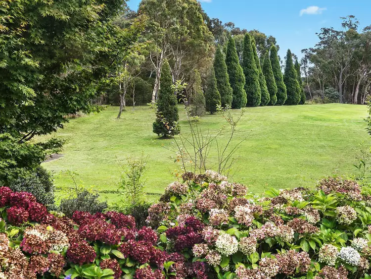 Sixth view of Homely house listing, 8 Jubilee Avenue, Blackheath NSW 2785