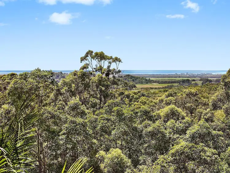 Second view of Homely house listing, 14 Aquila Court, Bli Bli QLD 4560