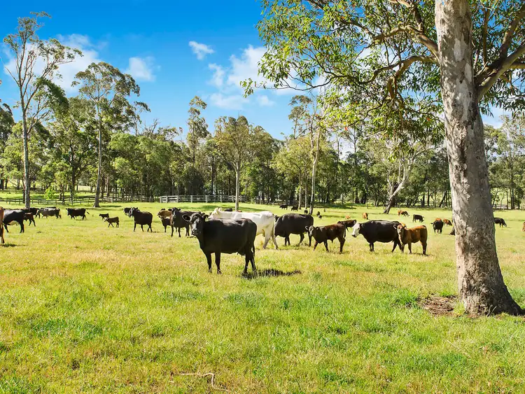 Sixth view of Homely rural property listing, 'Chain of Ponds' Old South Road, Mittagong NSW 2575