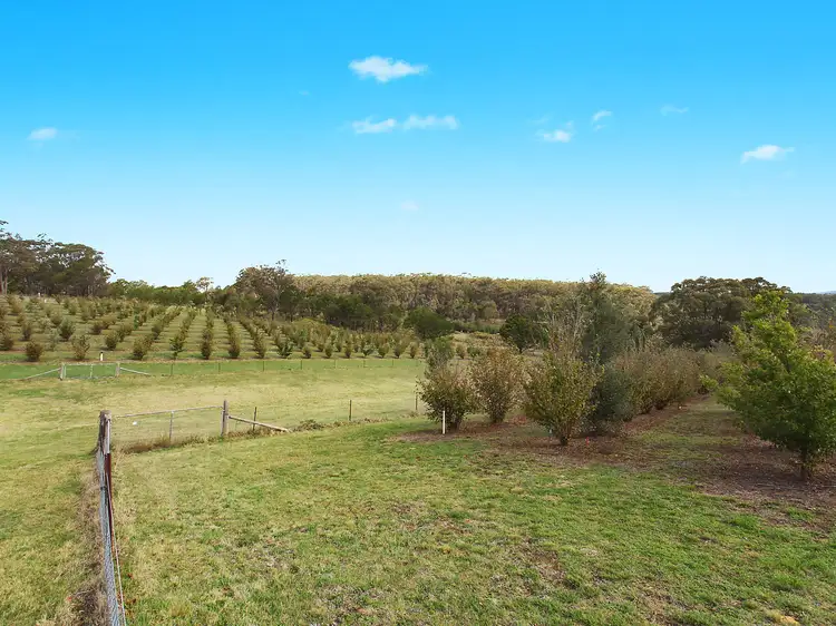Second view of Homely rural property listing, 'Rosewood Trufferie' 15 Davies Road, Marulan NSW 2579
