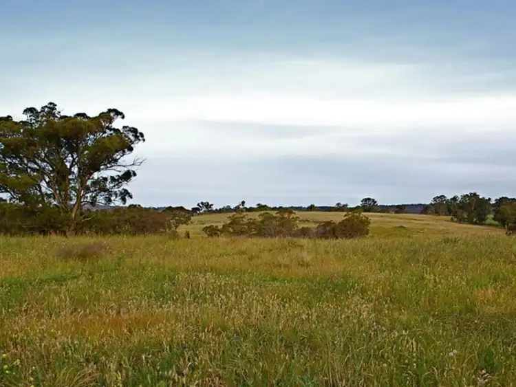 Seventh view of Homely land listing, 443 Old Coowong Road, Canyonleigh NSW 2577