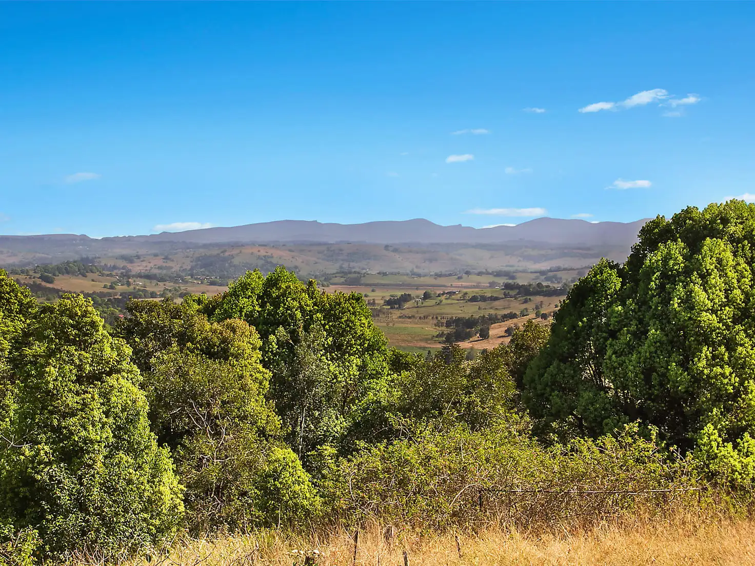 Main view of Homely house listing, 289 Cowlong Road, Mcleans Ridges NSW 2480
