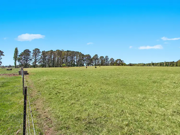 Third view of Homely rural property listing, 244 Bundanoon Road, Exeter NSW 2579