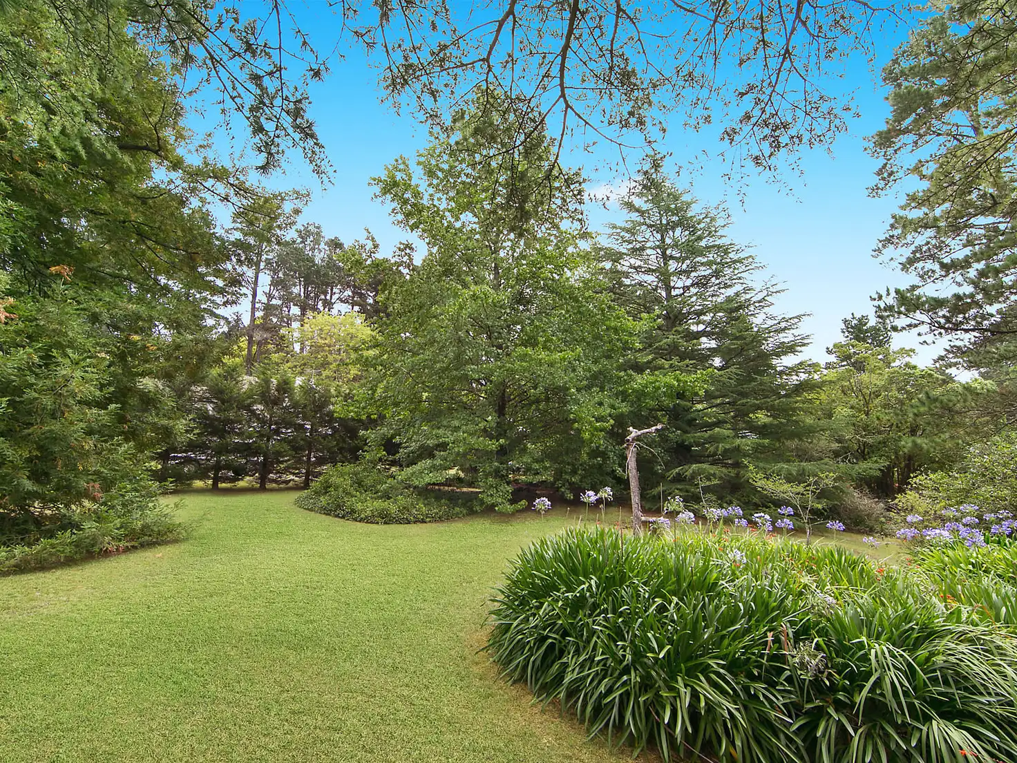 Main view of Homely land listing, 39 Northcote Road, Leura NSW 2780