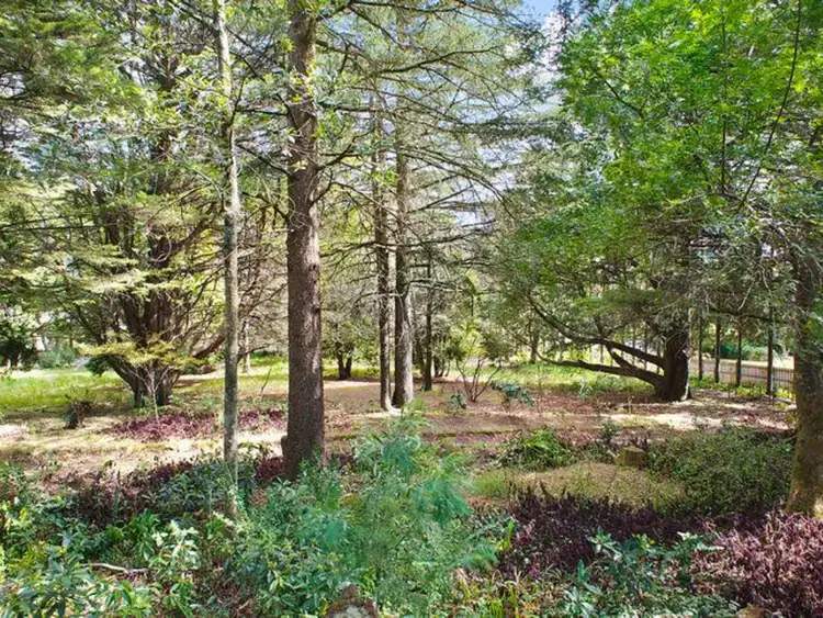 35 Nelson Avenue, Wentworth Falls NSW 2782