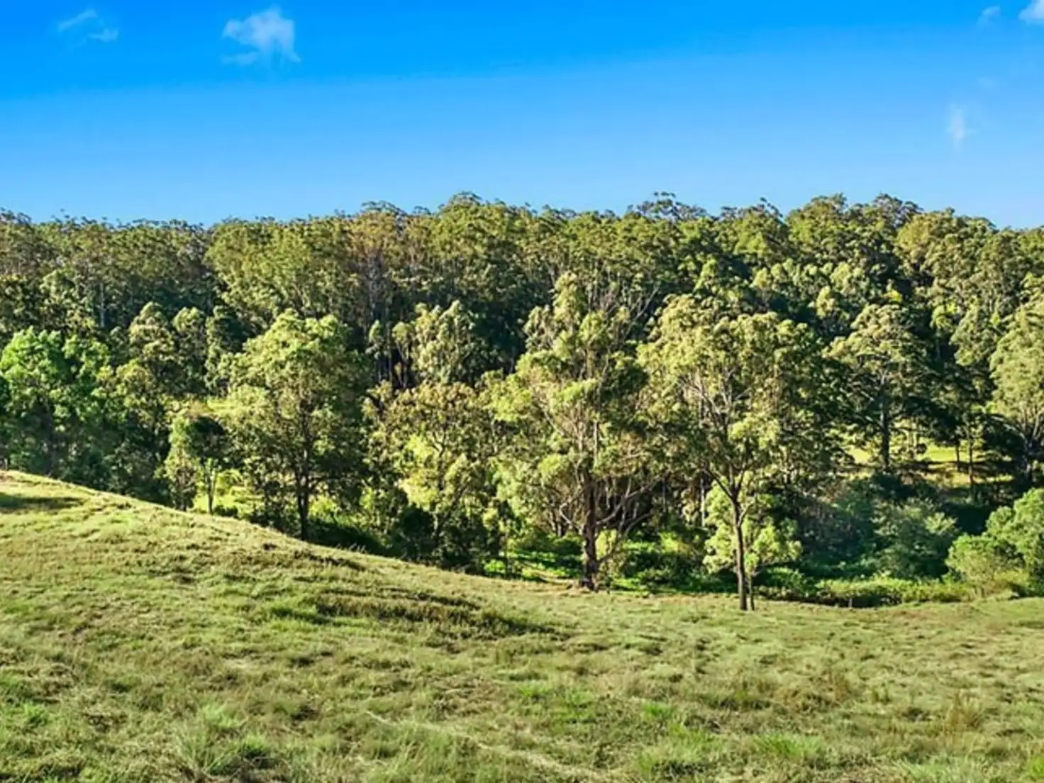 Main view of Homely land listing, 20 Bogong Court, Cabarlah QLD 4352