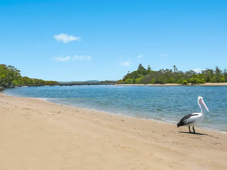 Sixth view of Homely house listing, 26 Broadwater Avenue, Maroochydore QLD 4558