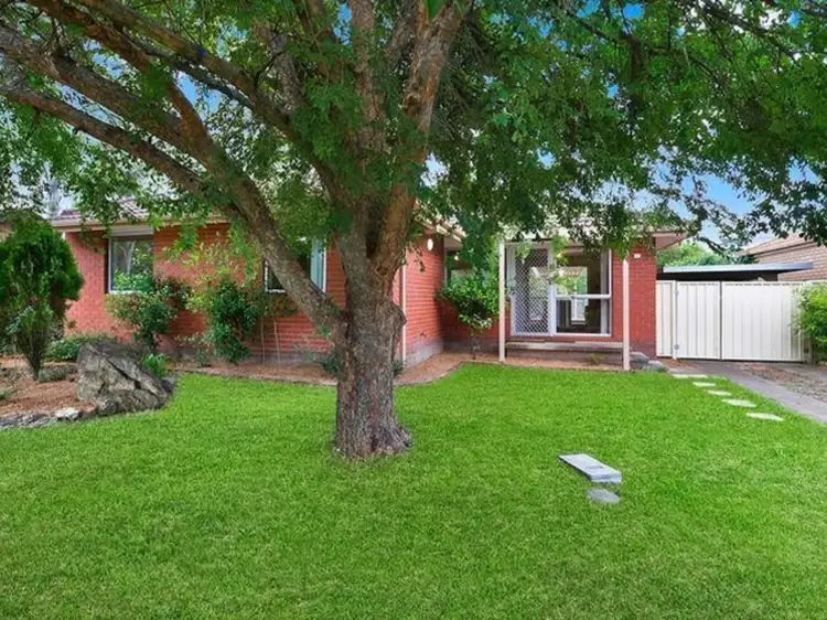 17 Dorrit Black Crescent, Lyneham ACT 2602