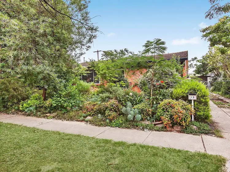 Main view of Homely house listing, 19 Correa Street, O'connor ACT 2602