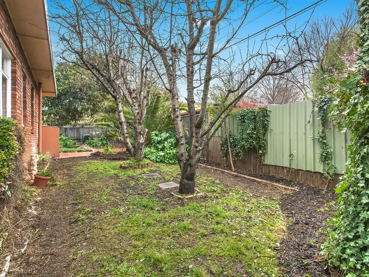 Sixth view of Homely house listing, 33 Wandoo Street, O'connor ACT 2602