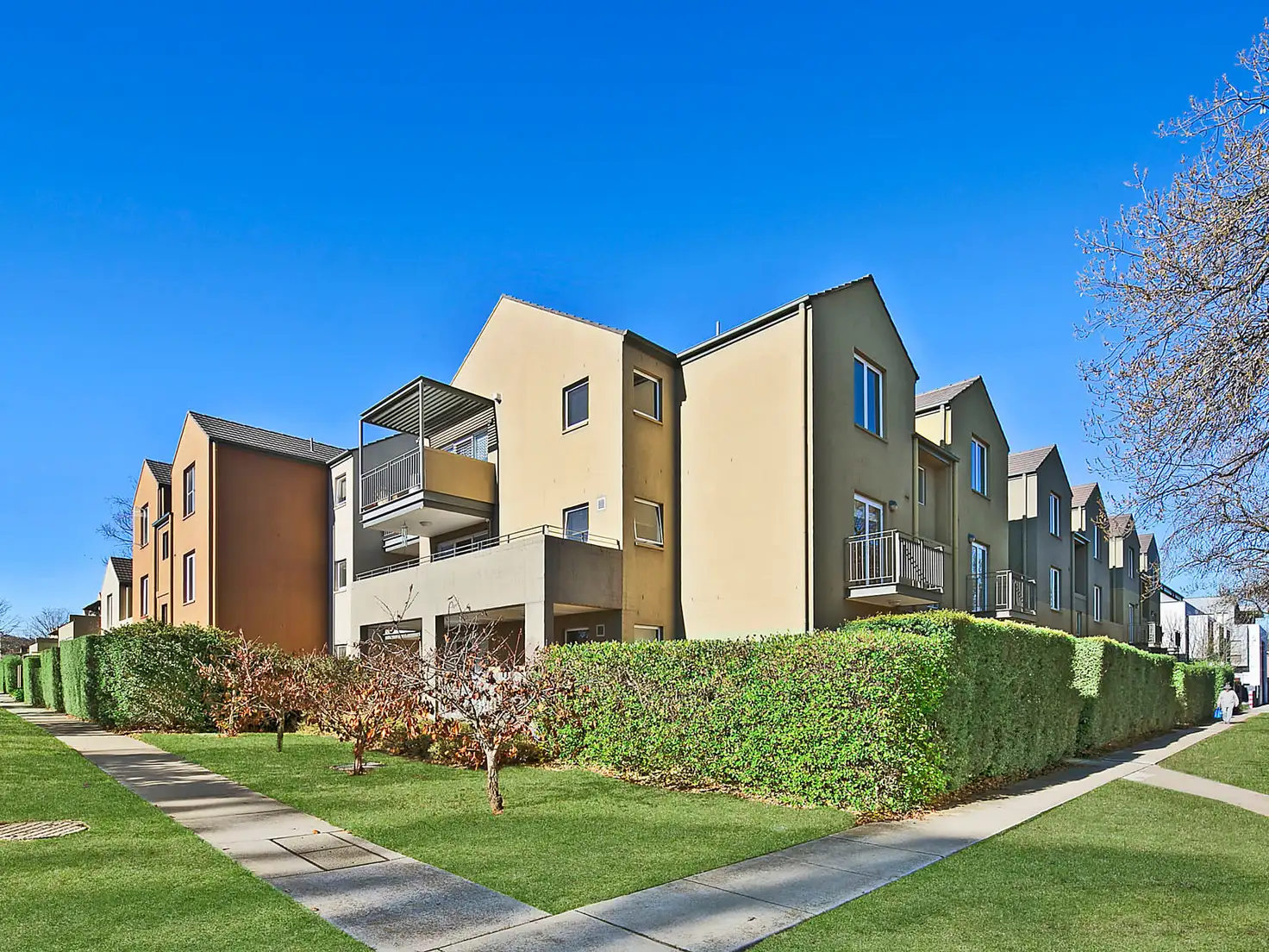Main view of Homely apartment listing, 24/50 Bluebell Street, O'connor ACT 2602