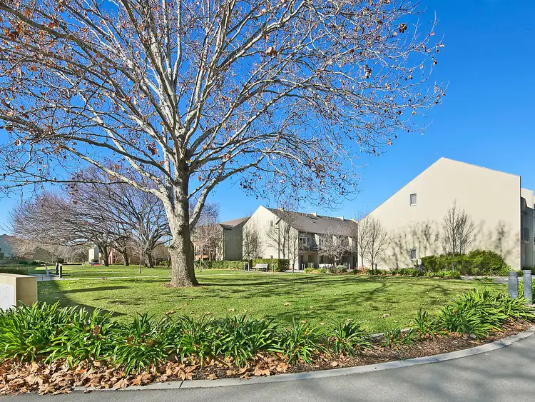 Second view of Homely apartment listing, 24/50 Bluebell Street, O'connor ACT 2602