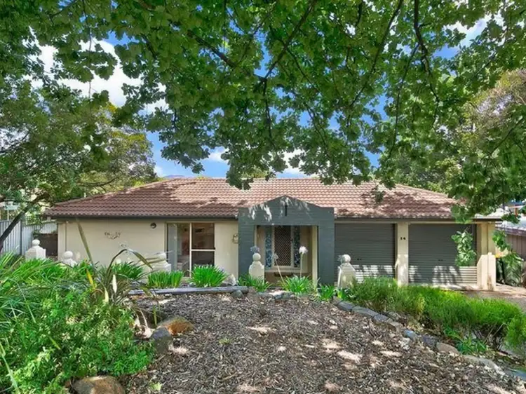 14 Quandong Street, O'connor ACT 2602