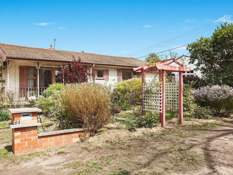 Main view of Homely house listing, 64 Longstaff Street, Lyneham ACT 2602