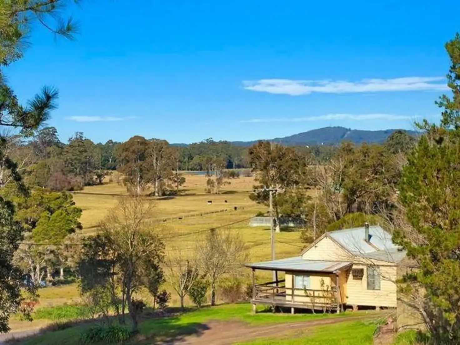 Main view of Homely rural property listing, 242 Jilliby Road, Jilliby NSW 2259