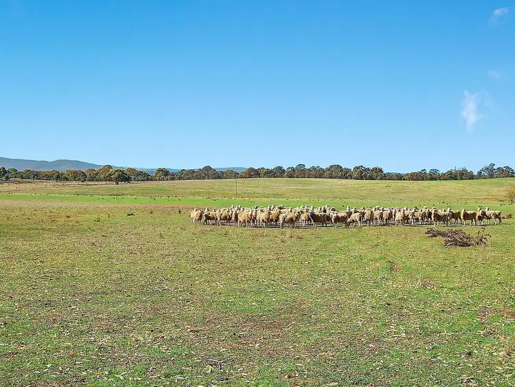 Second view of Homely land listing, Proposed Lot 2, 528 Back Creek Road, Gundaroo NSW 2620