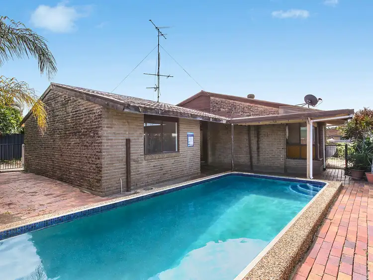 Third view of Homely house listing, 16 Barklya Place, Palm Beach QLD 4221