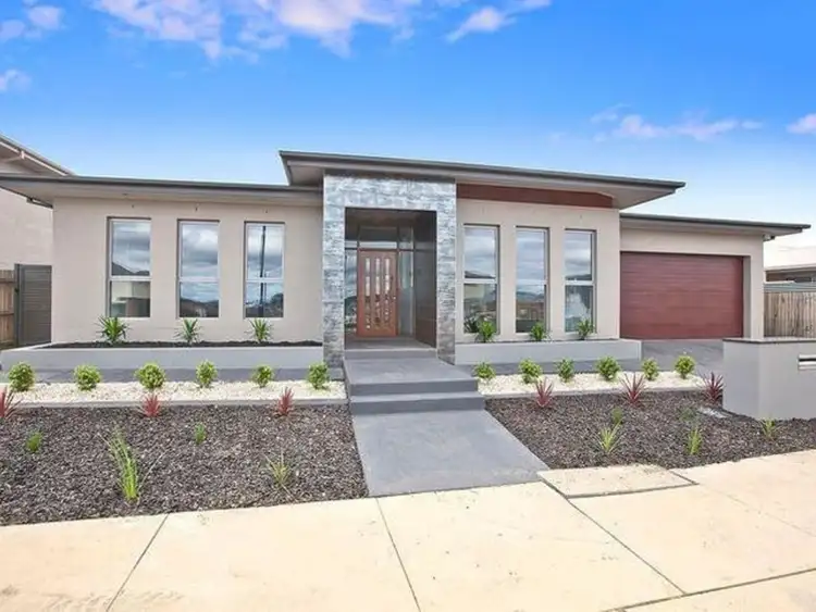 31 Quinane Street, Forde ACT 2914
