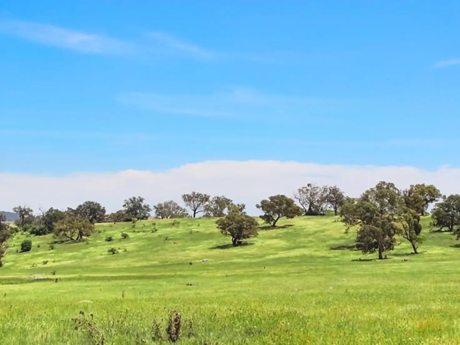 Main view of Homely land listing, Lot 11 Boureong Drive, Gunning NSW 2581