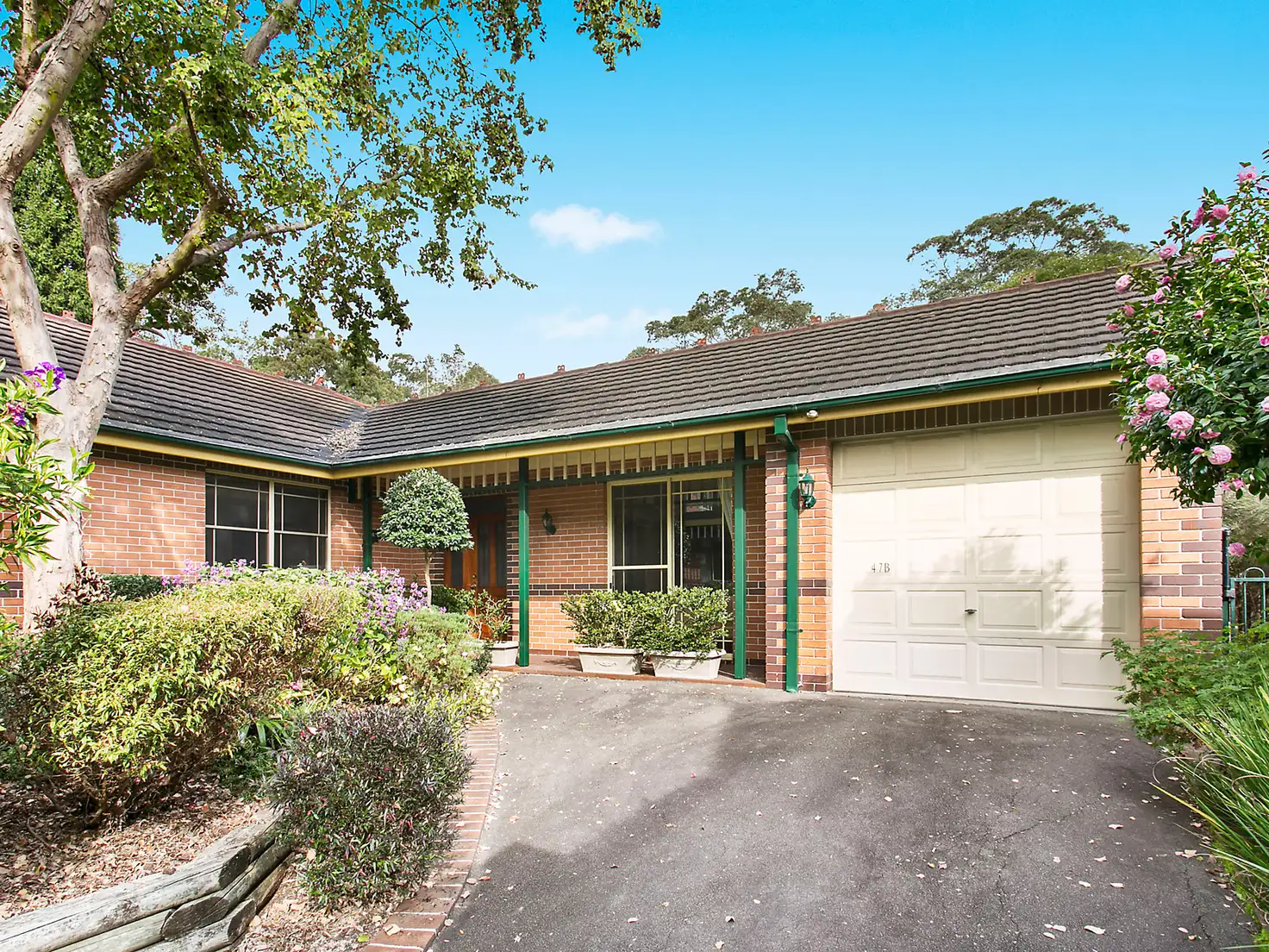 Main view of Homely house listing, 47B Denman Parade, Normanhurst NSW 2076