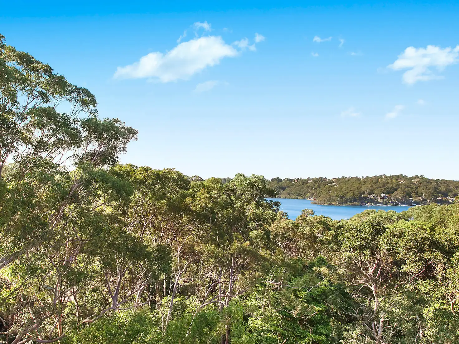 Main view of Homely house listing, 41 Yarran Road, Oatley NSW 2223