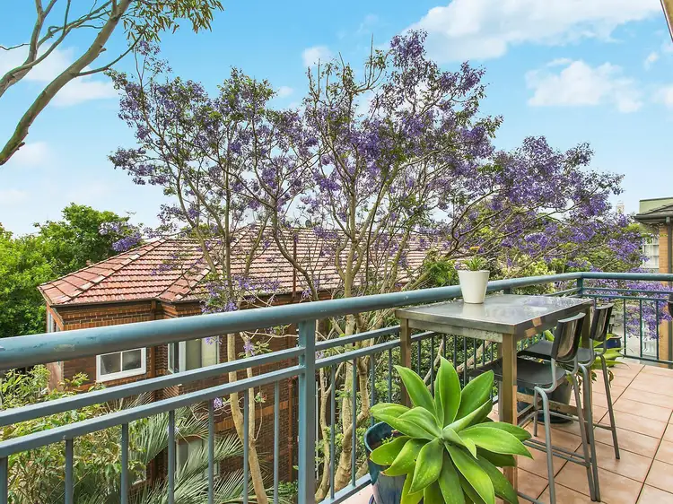 8/38 Avoca Street, Randwick NSW 2031