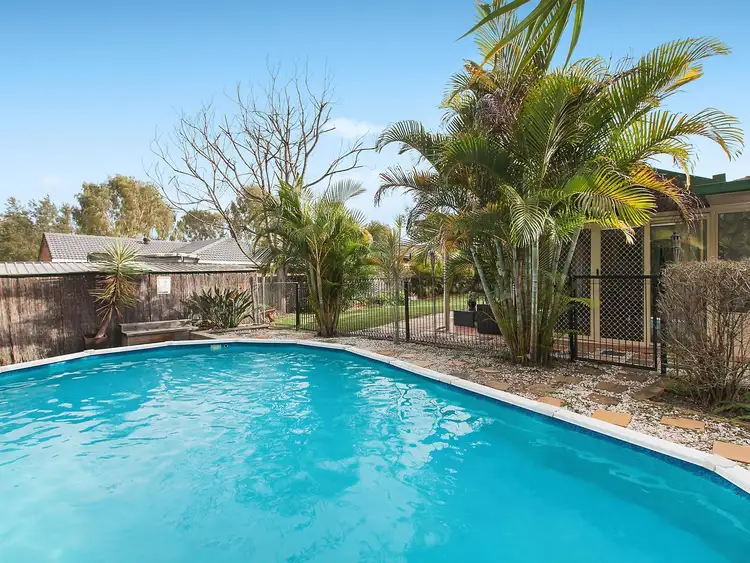 7 Ruby Court, Springfield QLD 4300