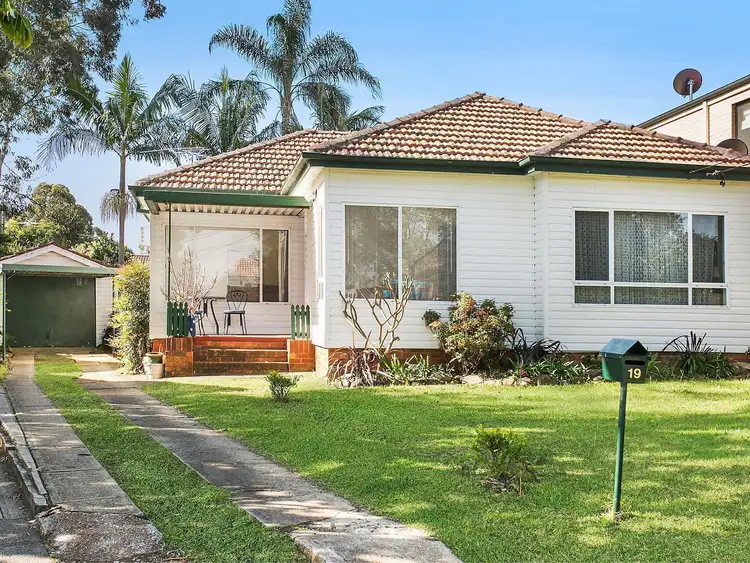 19 Patrick Street, Punchbowl NSW 2196