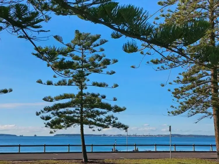 204 The Grand Parade, Monterey NSW 2217