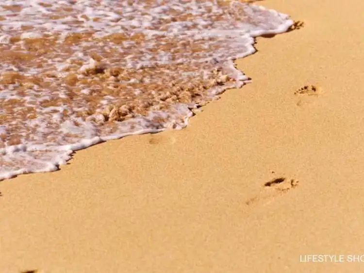 Third view of Homely land listing, LOT 2/155 Bulbarbaring Road, North Avoca NSW 2260