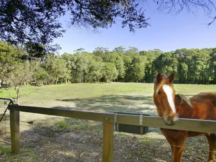 Fifth view of Homely rural property listing, 12 Okanagan Close, Wamberal NSW 2260