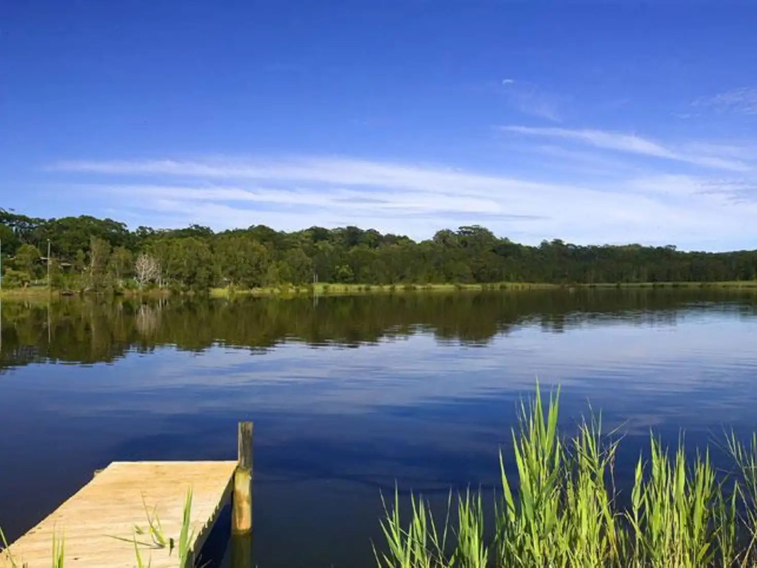 Main view of Homely house listing, 50 Bundara Avenue, Wamberal NSW 2260