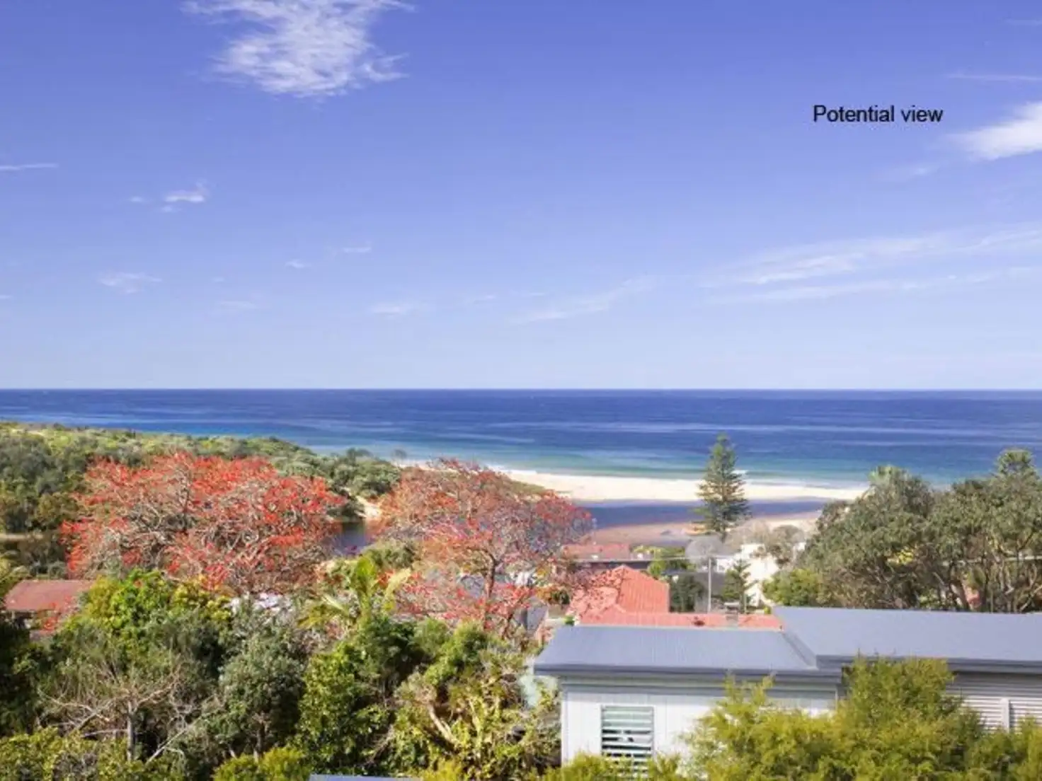 Main view of Homely house listing, 24 McGee Avenue, Wamberal NSW 2260