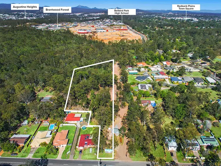 13D Rosemary Street, Bellbird Park QLD 4300