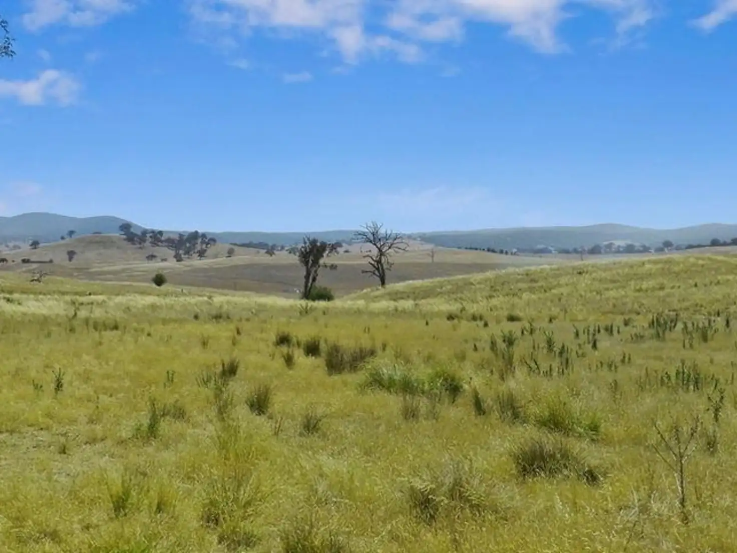 Main view of Homely rural property listing, Lot 103 Back Creek Road, Gundaroo NSW 2620