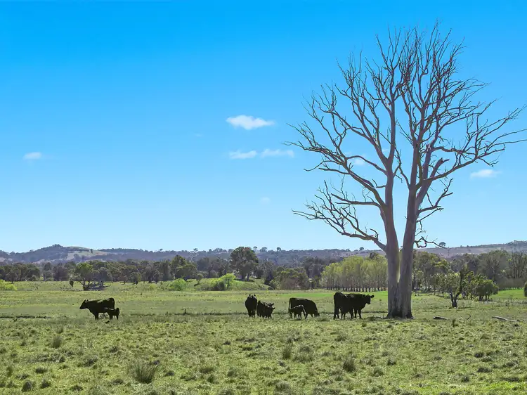 Second view of Homely land listing, Lot 38 /80 Wells Place, Bellmount Forest NSW 2581
