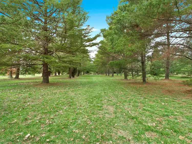 Sixth view of Homely house listing, 4 Bent Street, Turner ACT 2612