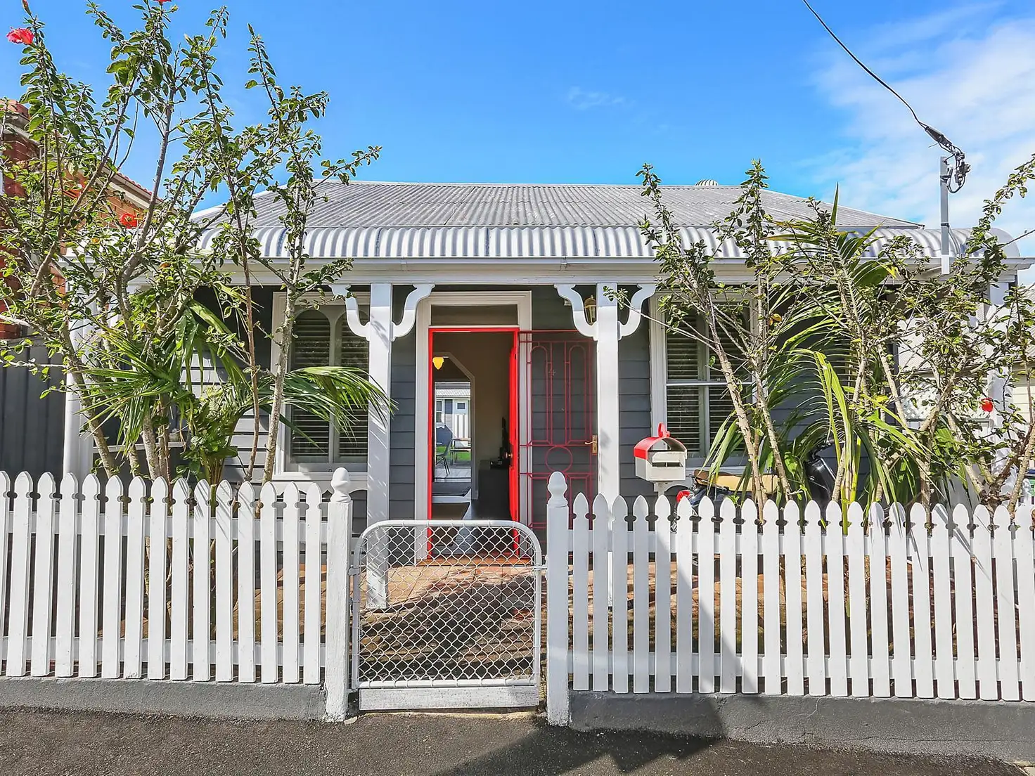 Main view of Homely house listing, 14 Callan Street, Rozelle NSW 2039