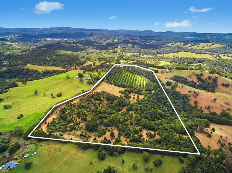 Second view of Homely house listing, 160 Rosebank Road, Rosebank NSW 2480