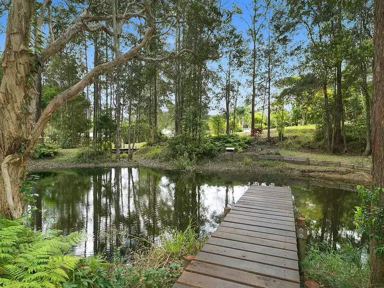 Third view of Homely house listing, 12 Cardinal Court, Palmwoods QLD 4555