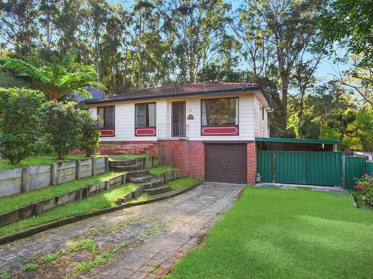Main view of Homely house listing, 12 Elkhorn Close, Wyoming NSW 2250