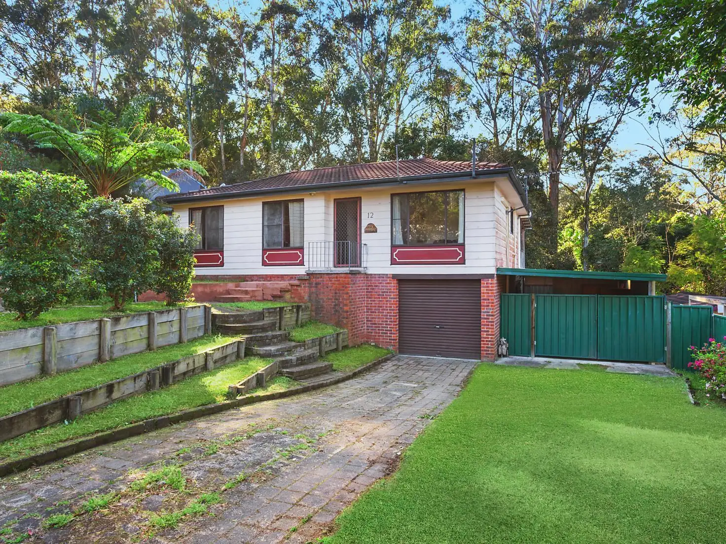 Main view of Homely house listing, 12 Elkhorn Close, Wyoming NSW 2250