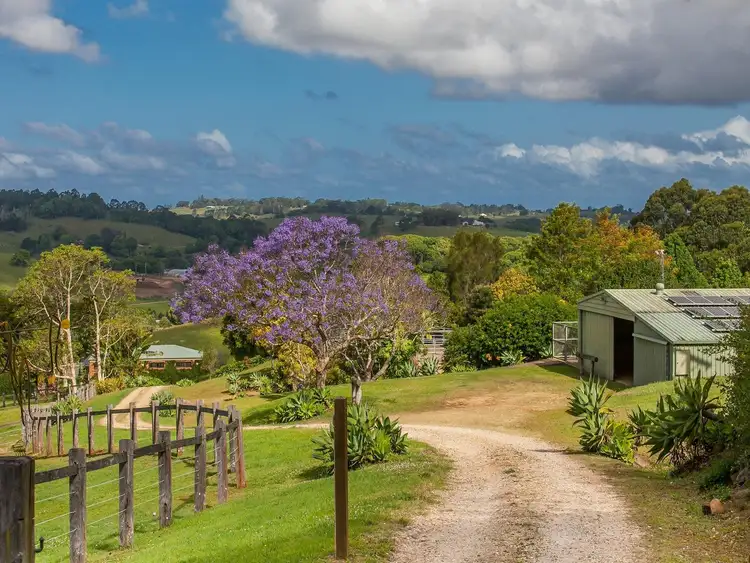 Seventh view of Homely rural property listing, 1476 Hinterland Way, Bangalow NSW 2479