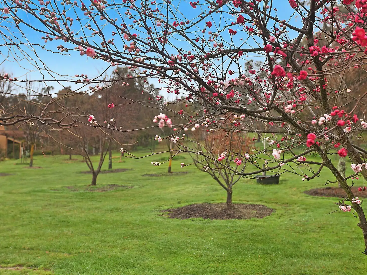 Main view of Homely house listing, 1178 Bungendore Road, Bywong NSW 2621