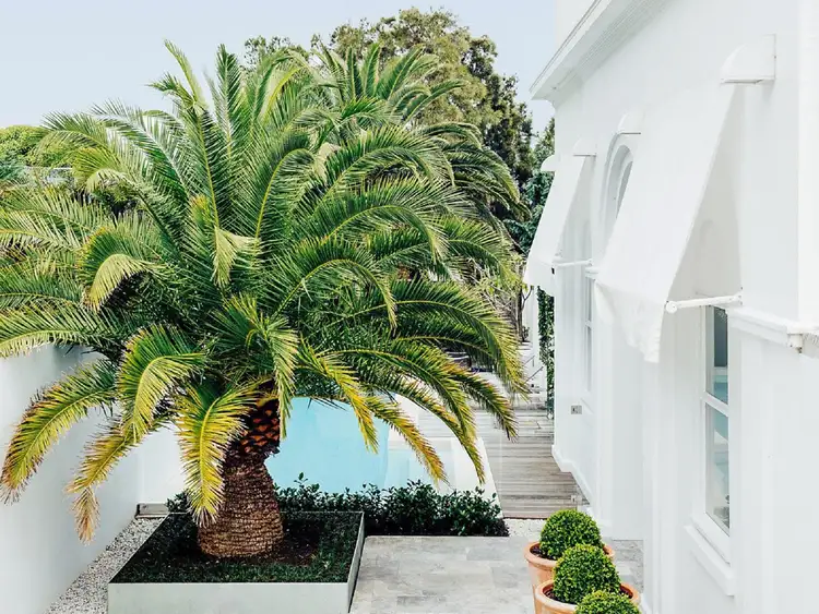 Third view of Homely house listing, 8 Gap Road, Watsons Bay NSW 2030