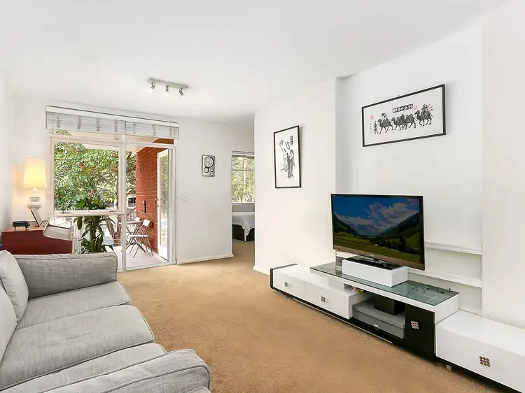 3/17 The Avenue, Randwick NSW 2031