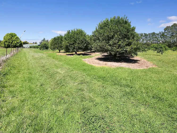 268 Lot 740 Crossmaglen Road, Bonville NSW 2450